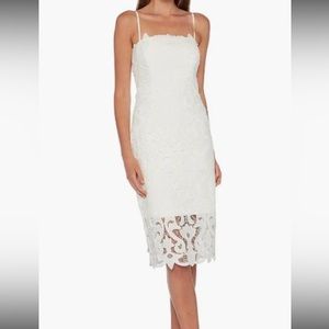 Bardot Lina lace sheath dress
